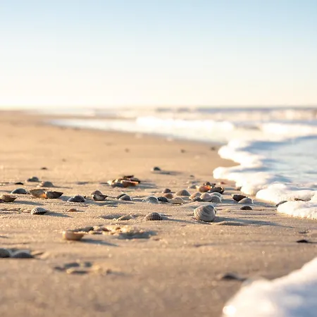 Appartementhaus Westerloog 07-balkon *